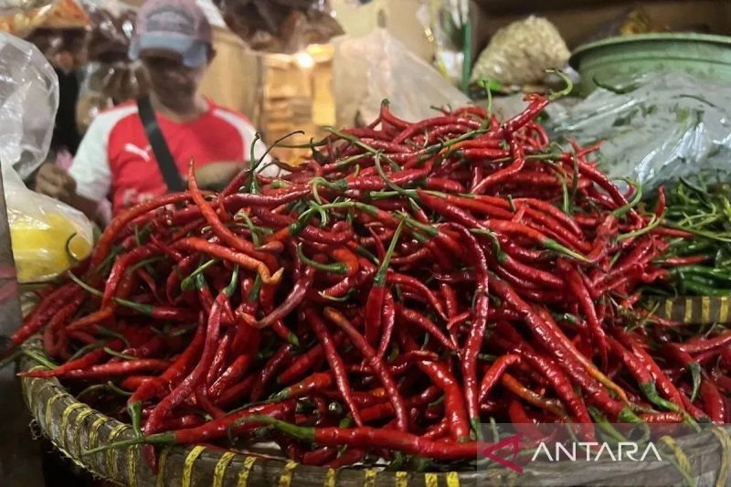 Cabai Rawit dan Bawang Merah Turun Harga Drastis, Cek Harga Pangan Terkini Lainnya!