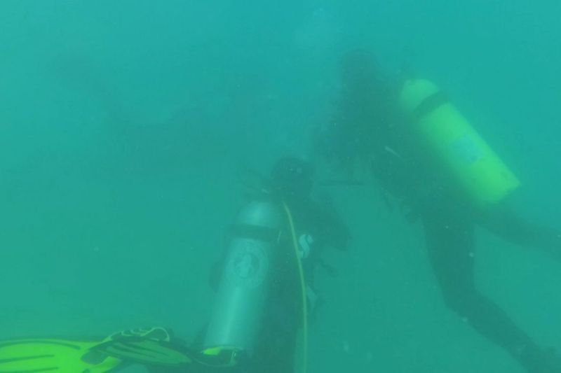 Momen Langka HUT ke-80 RI: Basarnas Bengkulu Kibarkan Bendera Raksasa 40x20 Meter di Bawah Laut Pulau Tikus