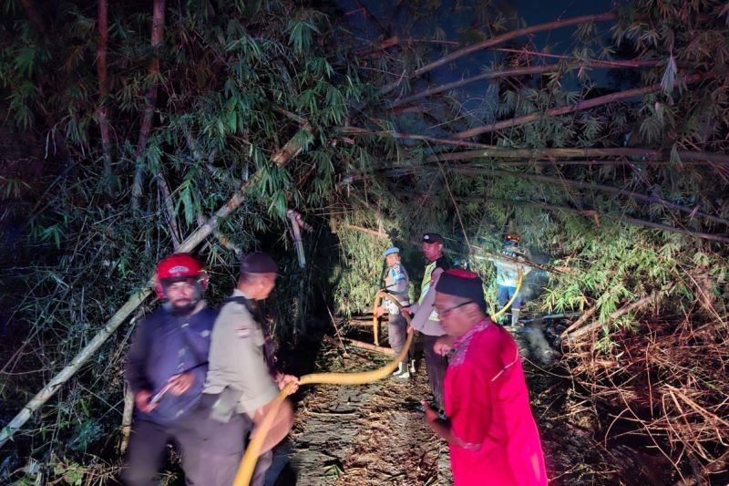 Terungkap! Damkarmat BPBD Bantul Sigap Padamkan Kebakaran Lahan Bambu di Piyungan