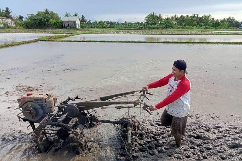 Dari Makassar hingga Pelosok: Mengungkap Makna Kemerdekaan Sejati di Mata Masyarakat Akar Rumput