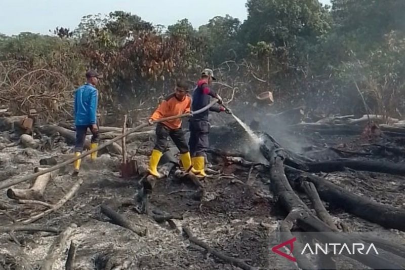 Mengenal Upaya Pemadaman: BPBD Aceh Barat Sigap Atasi Karhutla 1 Hektare di Bubon