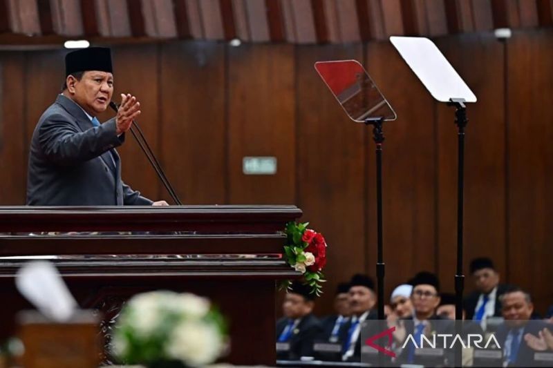 Fakta Mengejutkan: 3,7 Juta Hektare Sawit Ilegal! Penertiban Sawit dan Tambang Ilegal, Misi Ekologis Presiden Prabowo