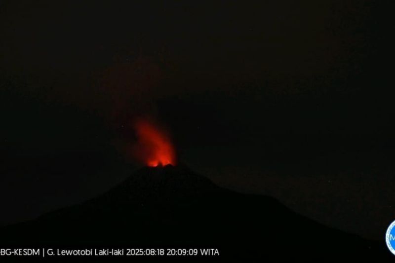 Fakta Unik: Enam Penerbangan Batal Akibat Dampak Erupsi Gunung Lewotobi di Flores Timur