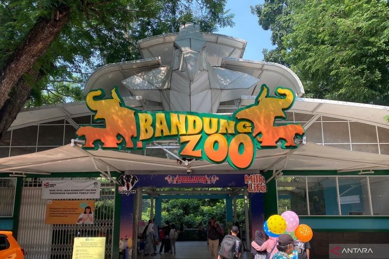 Fakta Mengejutkan: Penutupan Bandung Zoo Akibatkan Penurunan Wisatawan dan Potensi Kerugian Miliaran Rupiah
