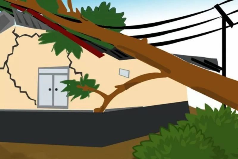 Fenomena MJO Picu Cuaca Ekstrem DIY: Pohon Tumbang dan Puluhan Rumah Tergenang
