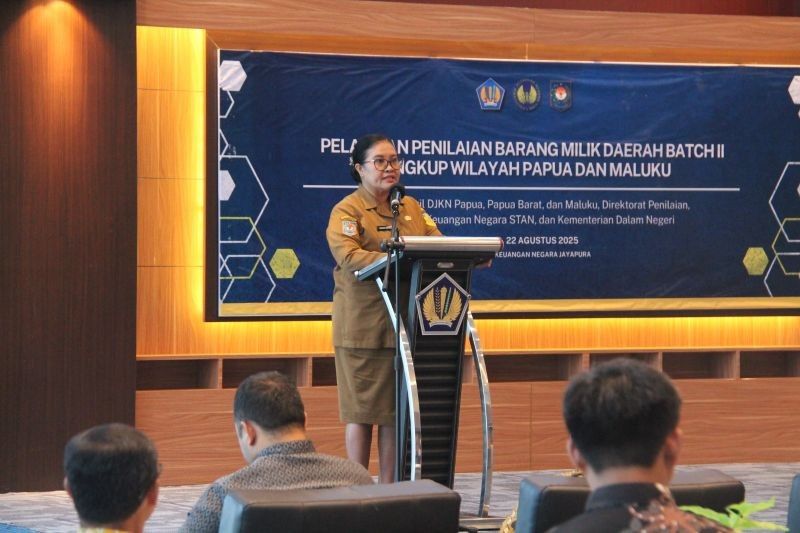 Terungkap! Pemprov Papua & Kemenkeu Bersinergi Perkuat SDM Penilai Aset Daerah