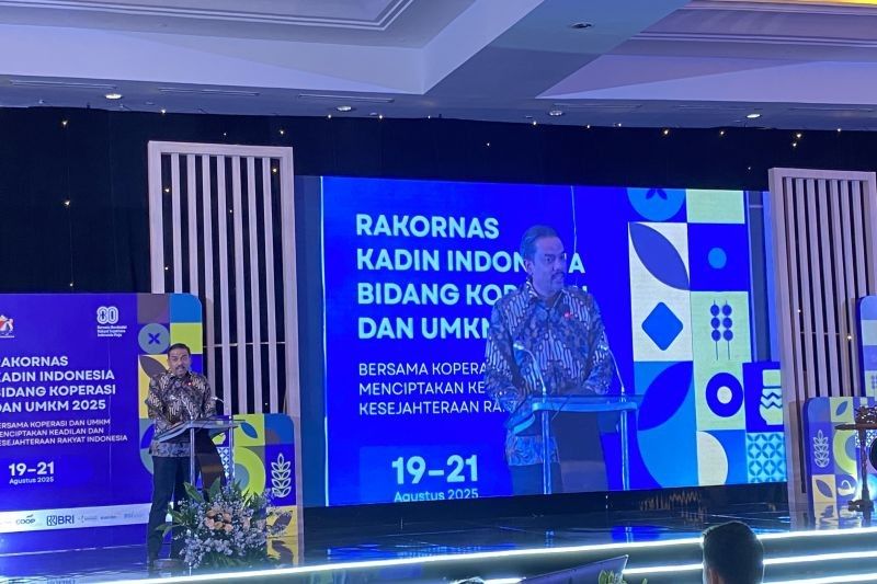 Wajibkan 40 Juta UMKM Terdaftar, Sistem SAPA UMKM Jadi Kunci Perlindungan dan Peningkatan Daya Saing Pelaku Usaha