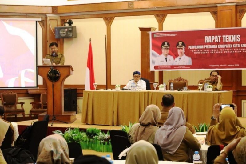 Kukar, Lumbung Padi Kaltim, Optimalisasi Peran Penyuluh Pertanian Topang Pangan IKN: Fakta Produksi Fantastis!