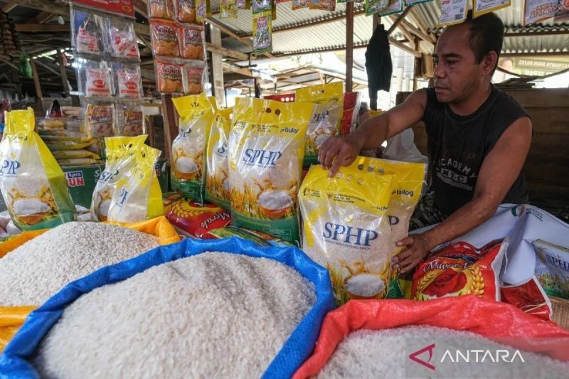 Fakta Menarik: Program SPHP Bapanas Sukses Turunkan Harga Beras di 148 Kabupaten/Kota, Apa Rahasianya?