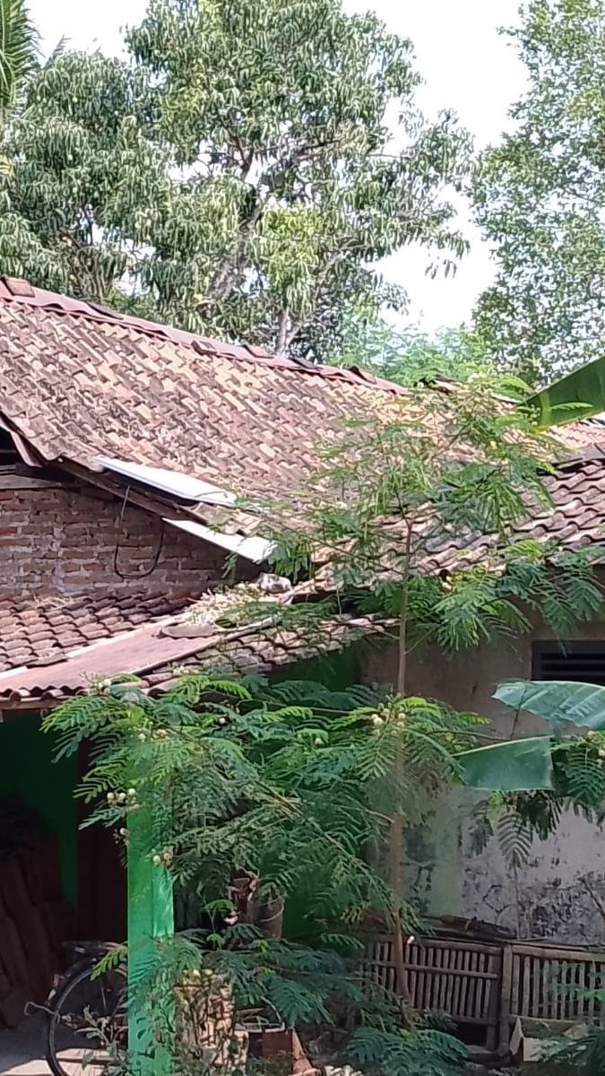 Masih Minim Dukungan Pemerintah, Ini Kisah Desa di Klaten Kembangkan Pembangkit Listrik Tenaga Matahari bagi Warganya