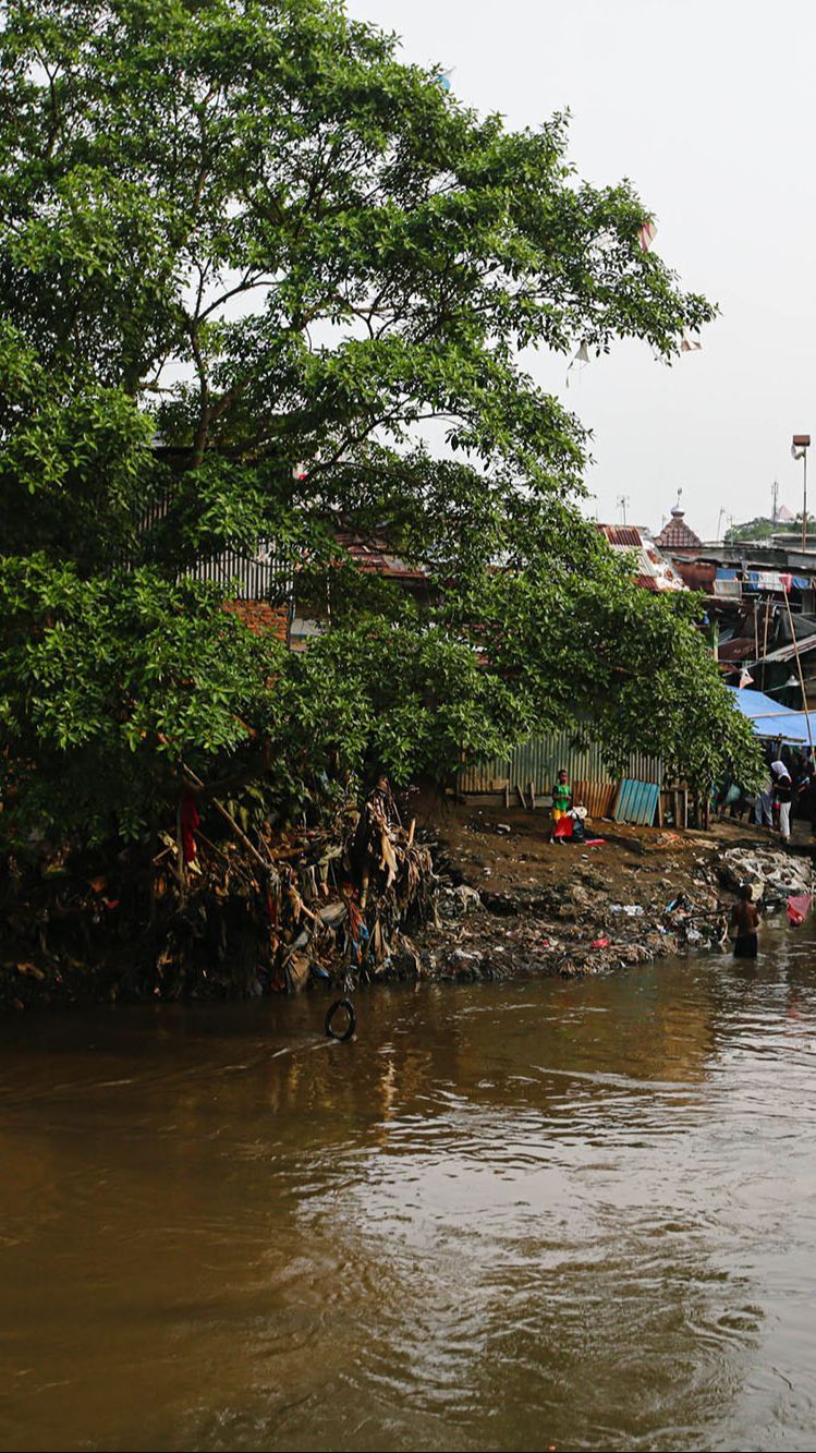 Gerombolan Makhluk Kecil Penunggu Kali Ciliwung Serang Permukiman di Depok, Warga Ada yang Digigit