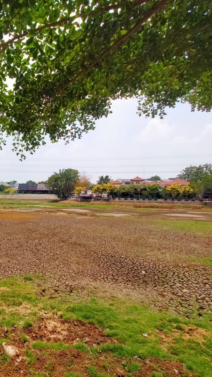 Danau Cinere Mengering akibat Kemarau Panjang, Begini Kondisinya