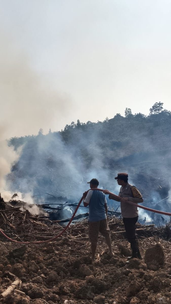 Karhutla Padam, Ini Momen Suka Cita Tim Manggala Agni Sujud Syukur sampai Lempar Helm di Tengah Hujan