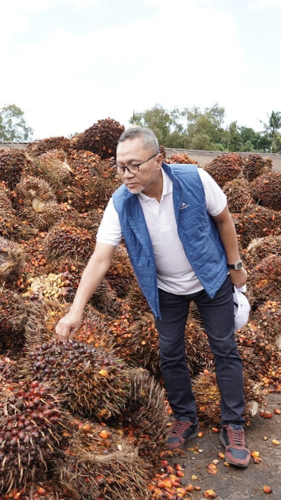 Mendag Yakin Indonesia Menang Lawan Uni Eropa di WTO soal Diskriminasi Kelapa Sawit