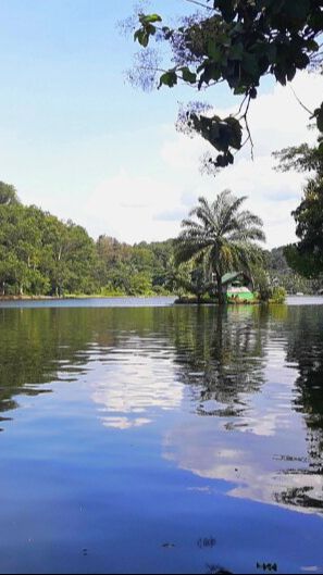 Dipenuhi Pepohohan Syahdu, Situ Gede Cocok Jadi Wisata Introvert di Kota Bogor