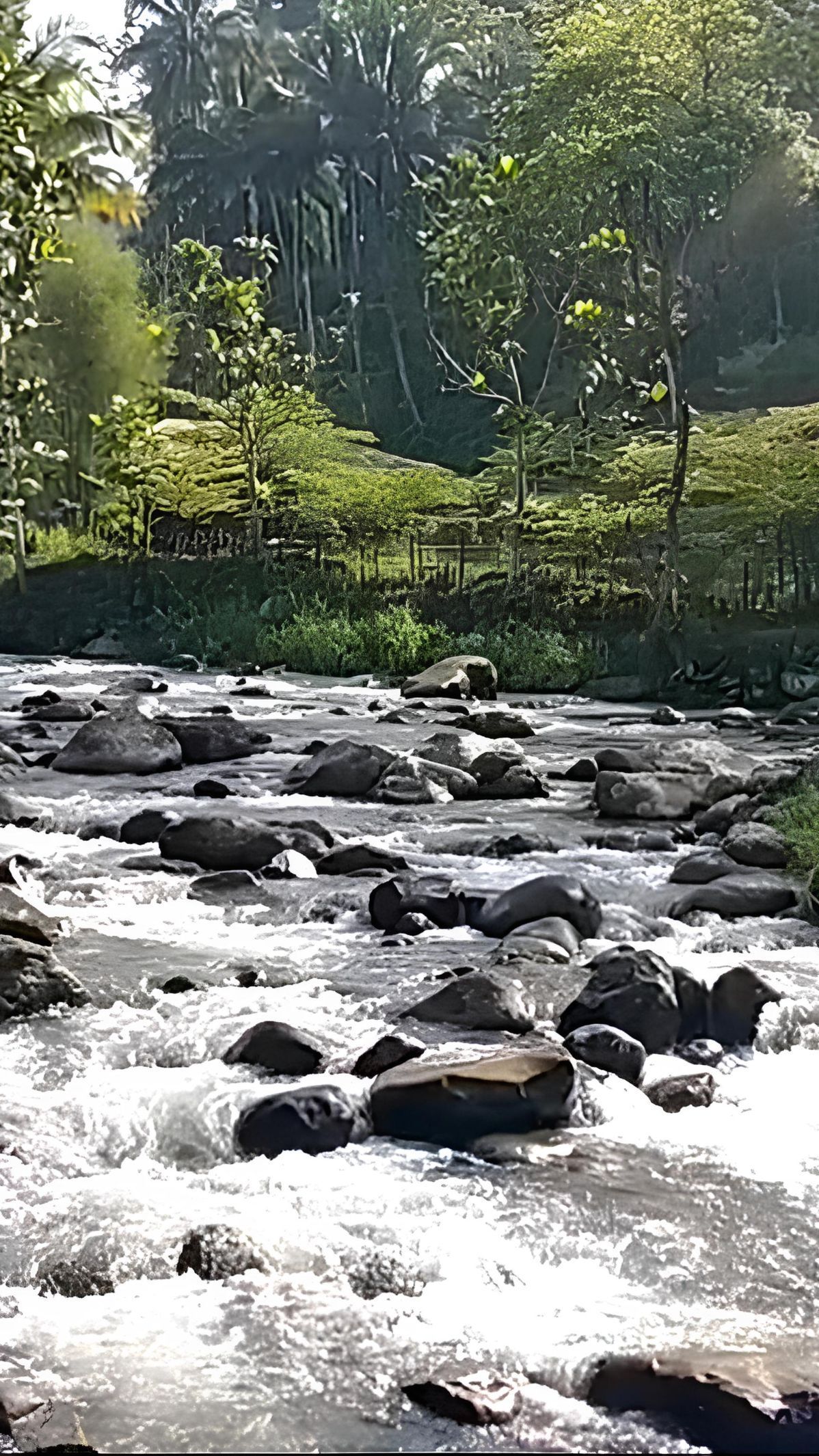 Mengunjungi Cadas Ngampar Ciamis, Wisata Sungai dengan Bebatuan Besar yang Indah