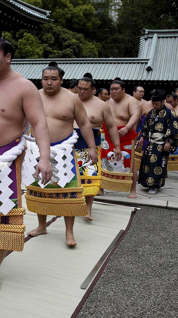 Kelebihan Beban, Japan Airlines Tambah Penerbangan Buat Angkut 27 Pesumo