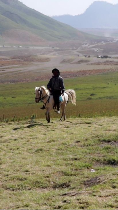 Savana Gunung Bromo Mulai Hijau Kembali, Kunjungan Wisatawan Belum Pulih