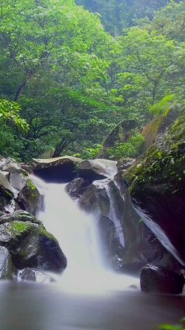 Sosok Ini Tinggalkan Kemewahan Hidup Pilih Bertapa di Hutan, Begini Kisah di Balik Keindahan Air Terjun Kakek Bodo Pasuruan