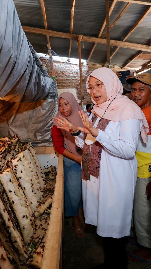 Dengan Modal Kecil,  Ibu-Ibu RT Desa Bagorejo, Banyuwangi Ternak Jangkrik untuk Tambahan Ekonomi Keluarga