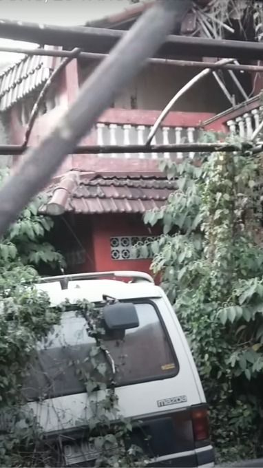 Rumah Bak Istana di Bandung Dibiarkan Terbengkalai 20 Tahun, Masih Banyak Mobil sampai Dimakan Tumbuhan