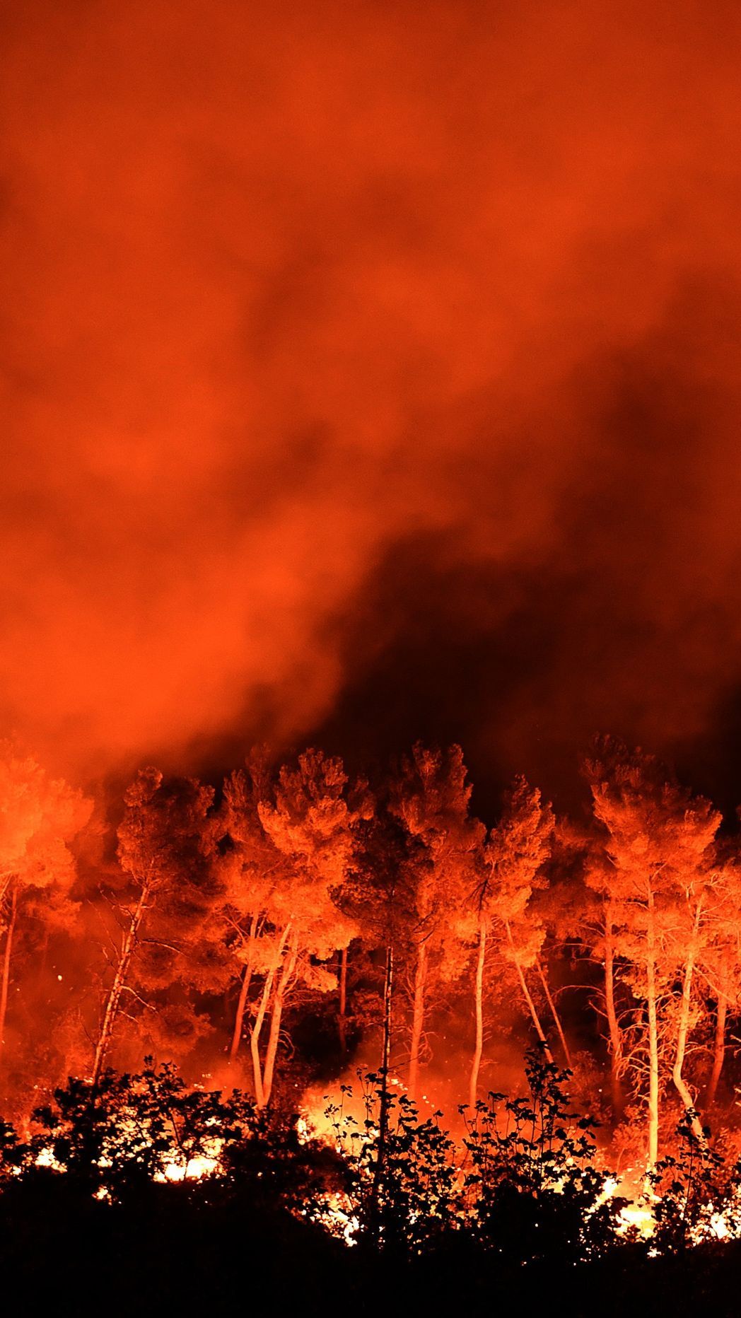 Ingin Lepaskan Kail Pancing yang Tersangkut Ranting, Pria Klaten Ini Nyalakan Api hingga Sebabkan 5 Hektare Hutan Terbakar