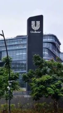 Raup Penjualan Rp10,2 Triliun, Ira Noviarti Siap Duduki Posisi Baru di Unilever