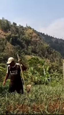 Sektor Pertanian Jadi Solusi Hadapi Perubahan Iklim dan Berkurangnya Air Tanah