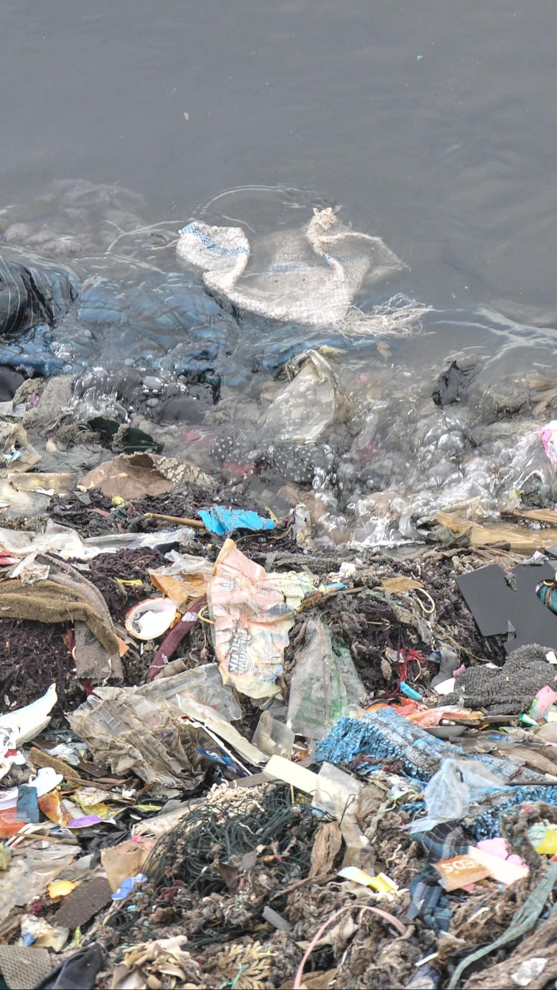 Tekan 70 Persen Sampah Plastik di Laut, Kemenko Marves Gandeng Industri dan Komunitas Daur Ulang