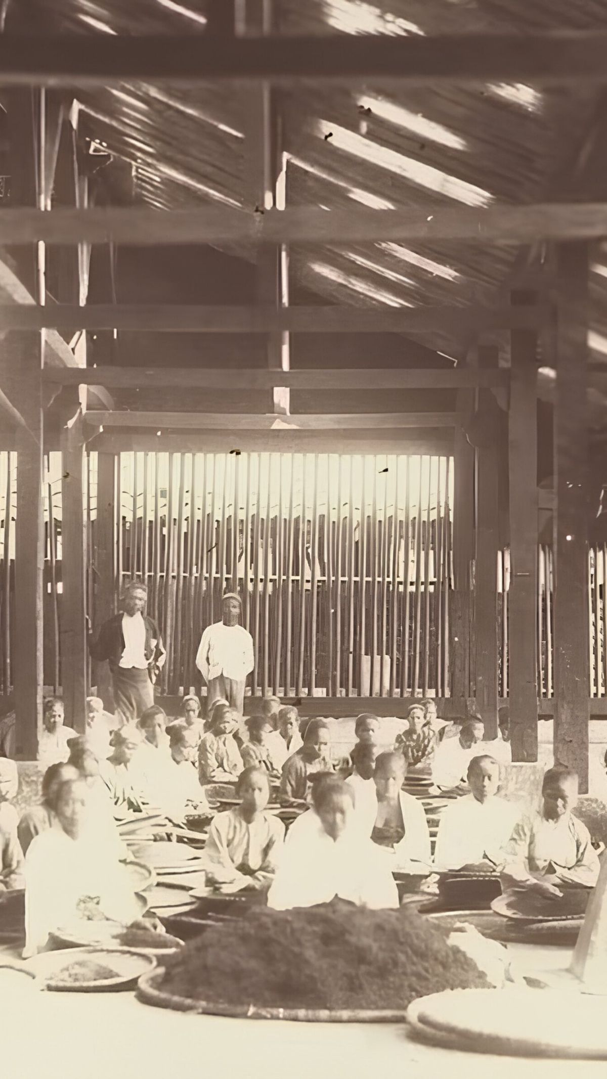 Promosi Teh Sukabumi di Eropa Tahun 1883 Ini Unik Pakai Gamelan Sunda, Ini Sosok di Baliknya