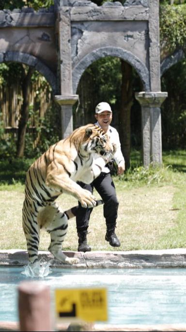 BonBin Paling Istimewa, Serba-Serbi yang Ada di Bali Safari Marine Park