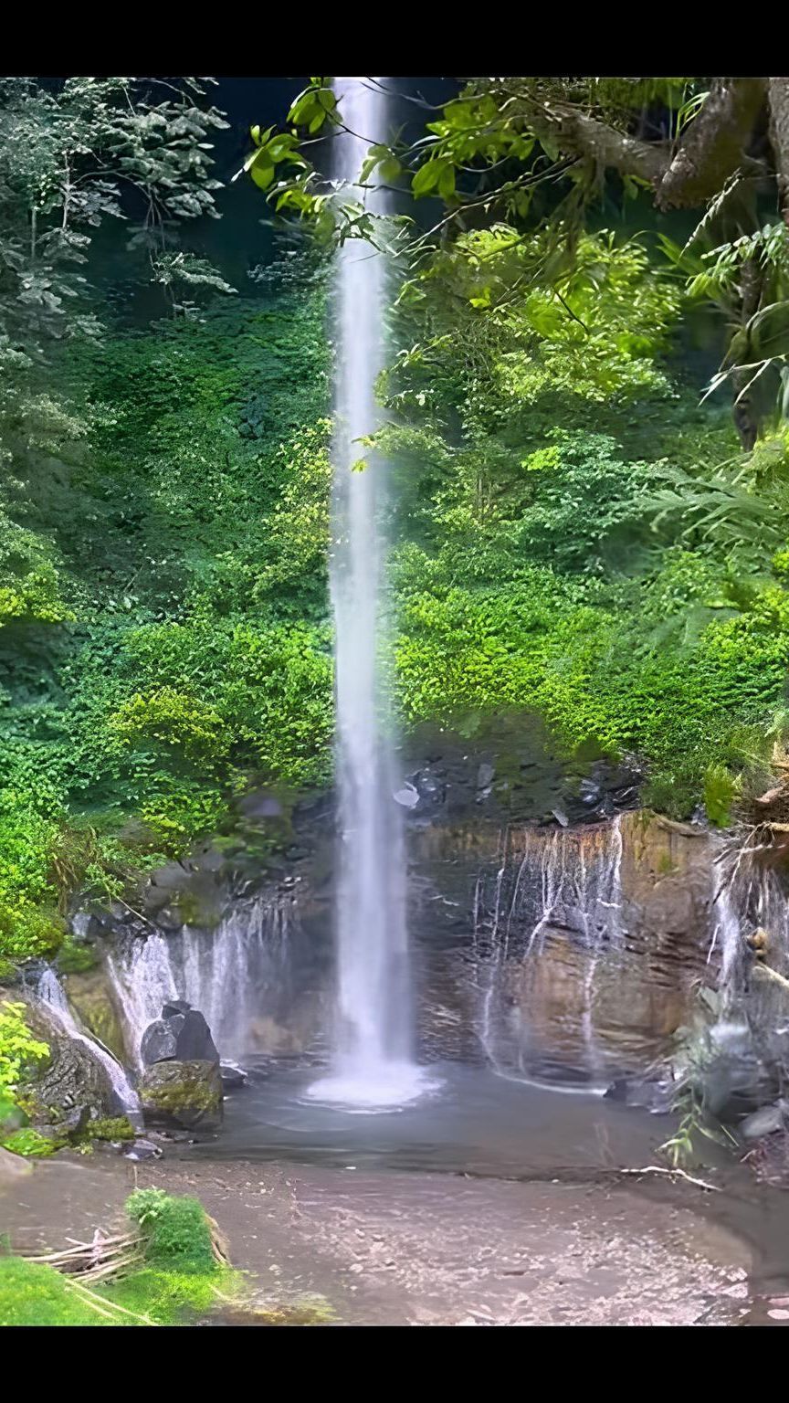 Merasakan Keindahan Curug Dua Cipederesi, Surga Tersembunyi di Tengah Hutan Gunung Galunggung