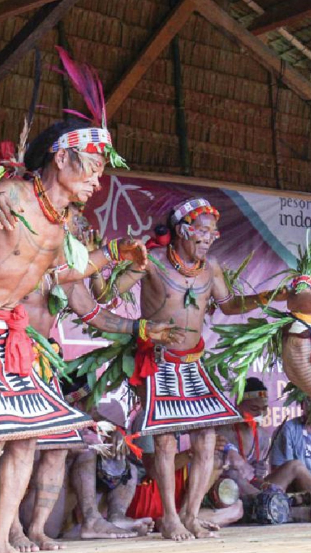 Terinspirasi dari Gerakan Hewan, Ini Keunikan Turuk Langgai Tarian Khas Mentawai