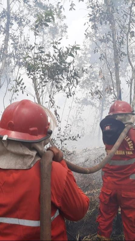 Karhutla di Kalsel Sebabkan Kasus Ispa Meningkat, Tim Gabungan Diturunkan