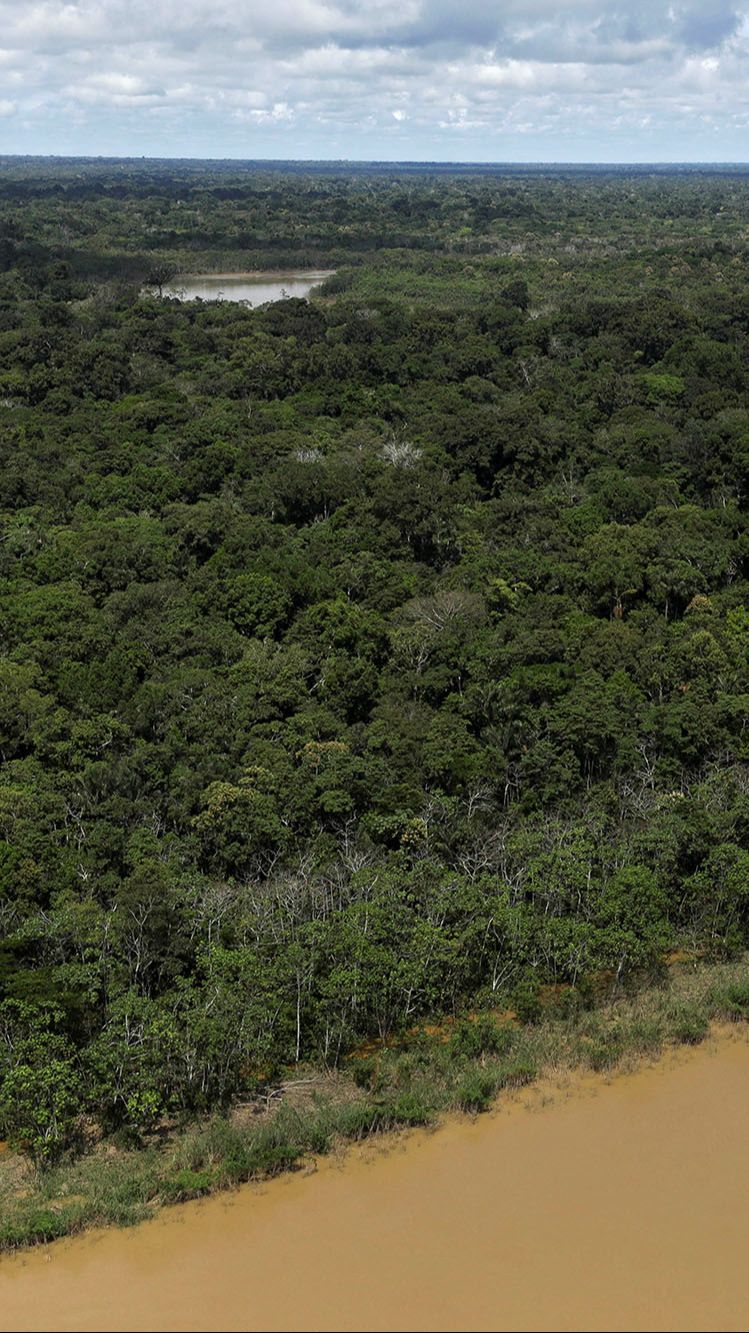 10.000 Situs Arkeologi Masih Tersembunyi di Hutan Amazon, Ada Benteng Sampai Desa Kuno