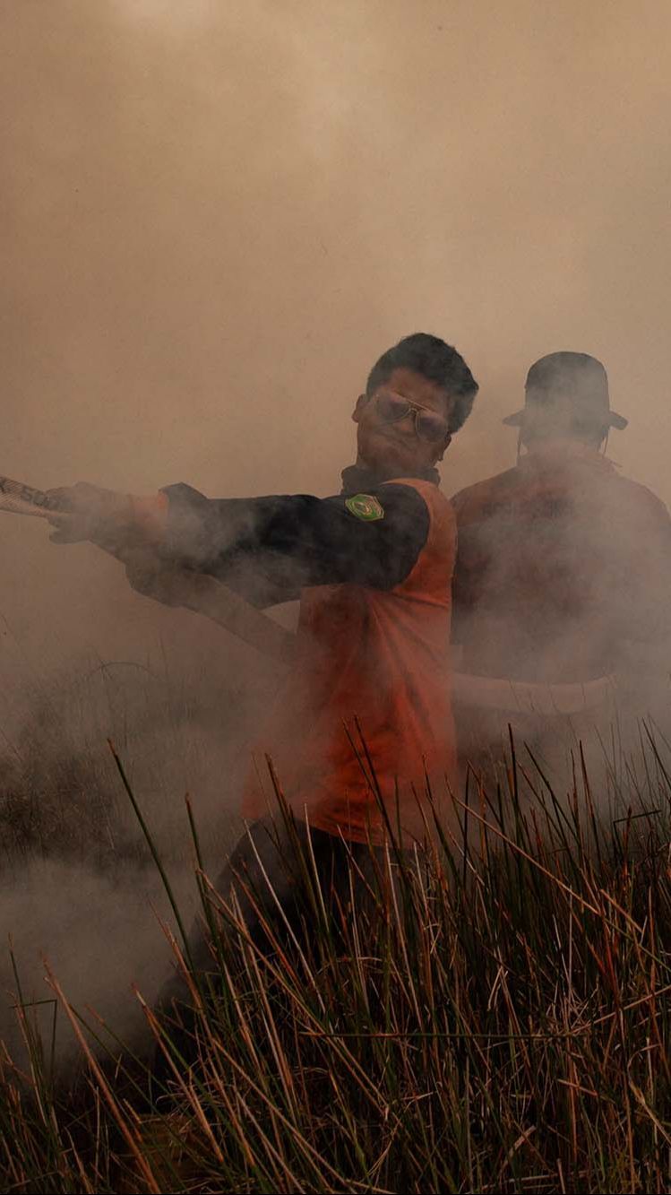 Karhutla di Sumsel Sekarang Lebih Parah Dibanding 2019, Ini Penyebabnya