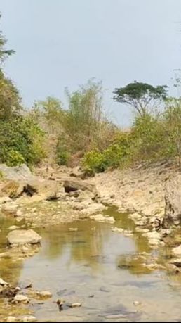 Mengunjungi Surga Tersembunyi di Pedalaman Hutan Blora, Ada Sumber Air Panas hingga Gua