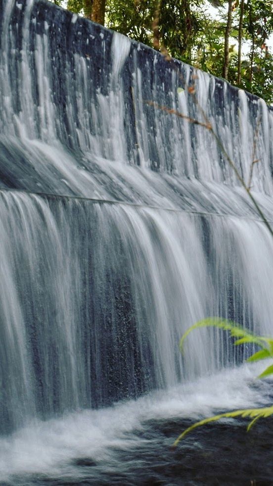 Potret Danau Umbulan Pasuruan, Sumber Mata Air Terbesar di Jawa Dulu hanya Bisa Dinikmati Orang Kaya