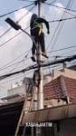 VIDEO: Petugas PLN Tersengat Listrik sampai Bergelantung di Tiang, Beruntung Cuma Luka Bakar