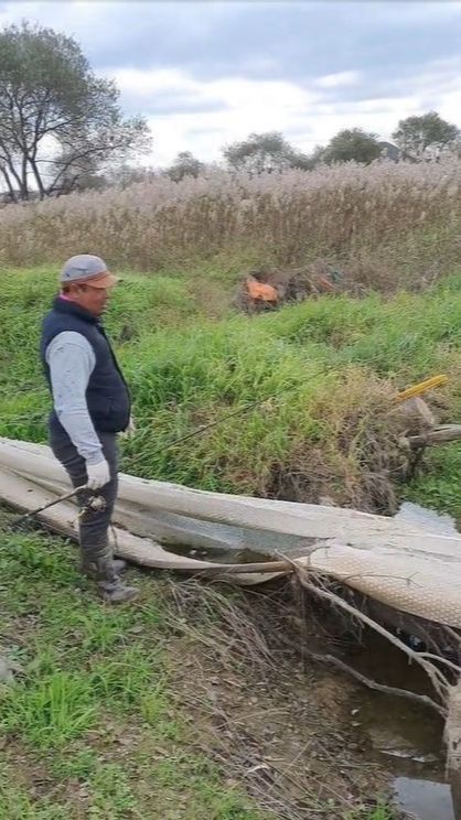 Penemuan Sisik Ular Raksasa Sampai Puluhan Meter yang Bikin Heboh