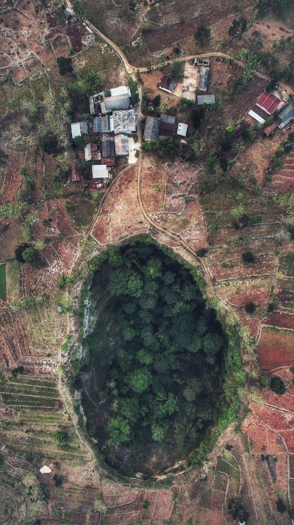 Gua Sebesar Stadion Ini Punya Hutan Bawah Tanah Eksotis, Hidden Gems Tuban yang Berpotensi Viral