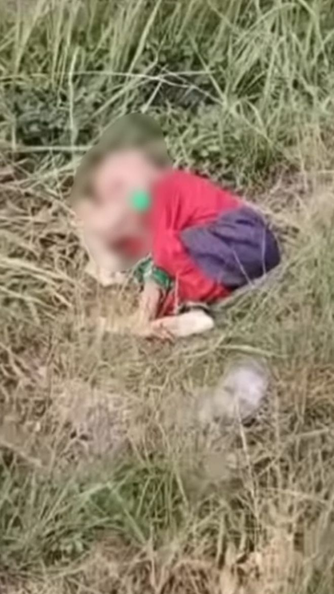 Viral Anak 3 Tahun Diduga Dibuang Orang Tuanya, Tergeletak di Semak-semak