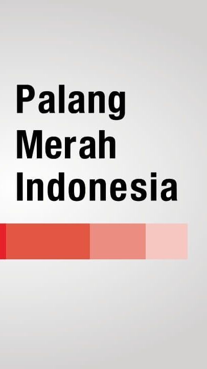 Konflik Palestina-Israel Kembali Memanas, PMI Sigap Kirim Bantuan Medis Senilai Rp2,9 Miliar untuk Warga Gaza