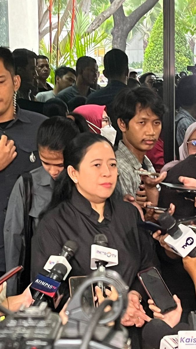 Puan Maharani Bertemu Presiden Jokowi di Istana, Ini yang Dibahas