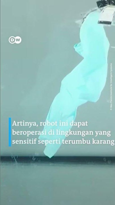 VIDEO: Ubur-ubur Ini Agak Lain, Bisa Bantu Bersihkan Lautan