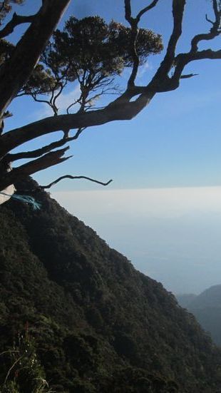 Beberapa Gunung di Indonesia ini Mitosnya Jadi Lokasi Pasar Setan