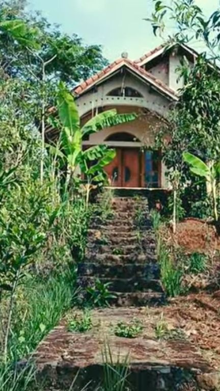 Potret Rumah Sederhana di Atas Bukit Terbengkalai Milik Artis di Preman Pensiun, di Dalamnya Banyak Foto-foto Pejabat