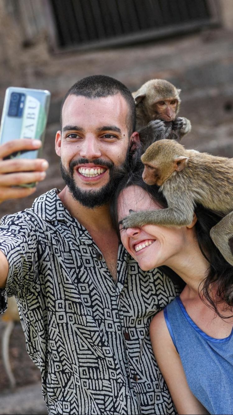 FOTO: Keusilan Monyet-Monyet saat Perayaan Monkey Buffet Festival di Thailand