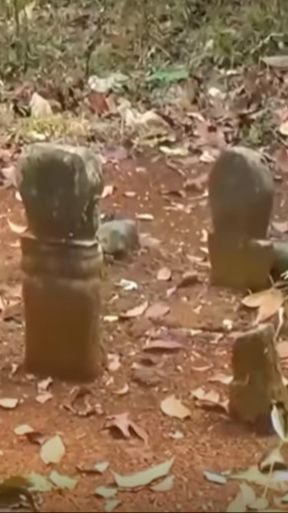 Kondisinya Terbengkalai di Tengah Hutan, Begini Cerita Makam Sinden Berusia Ratusan Tahun di Kebumen