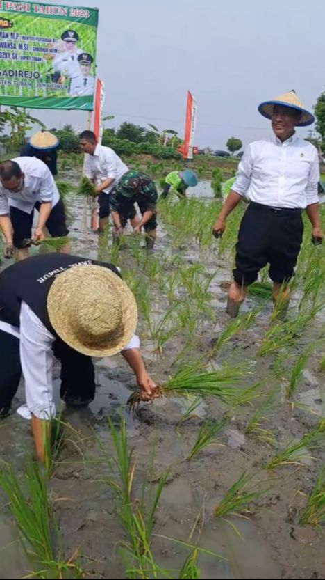 Sengit, Ibu Gubernur Lomba Tanam Padi lawan Menteri Pertanian di Sawah, Siapakah Pemenangnya?